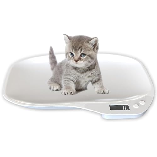 ybg̏dv fW^ ybgXP[ ybgfW^XP[ ͂ L  ^p 1gP ő15kg܂ O\ izCgj