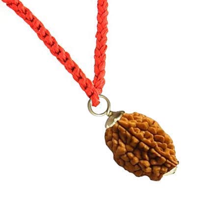 RUDRADIVINE Unisex 2 Mukhi Silver Pendant Lab Certified Original Pure Siddha Rudraksha (Brown)
