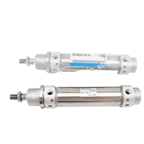 Vérin pneumatique inox de type rond miniature avec tampon ajustable