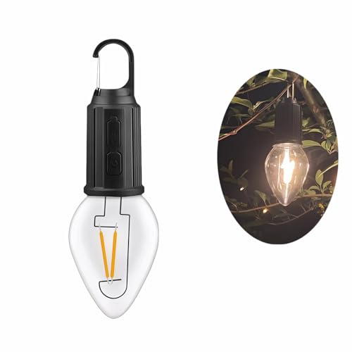 Portable LED Camping Lantern，Hang Anywhere Hook, USB-C Rechargeable, 3 Brightness