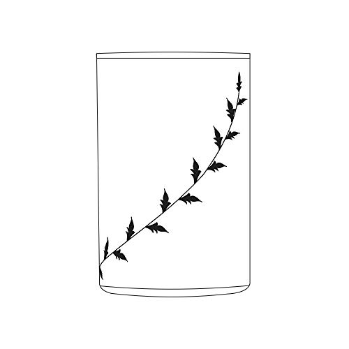 Image of Borosil Vision Black Krip Small Glass, 205ml