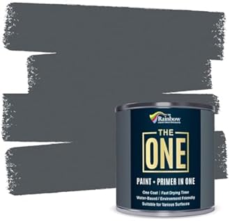 THE ONE All-In-One Paint & Primer - Dark Grey Gloss, 33.8 Fl Oz/1 Liter | 1 Coat Formula | Easy Indoor & Outdoor Decorating for Home & Garden Walls, Floors & Furniture | Water-Based & Low VOC
