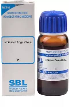 SBL Echinacea Angustifolia Q Mother Tincture- 30 ml (B0BTDNBNBH) Amazon Price History, Amazon Price Tracker