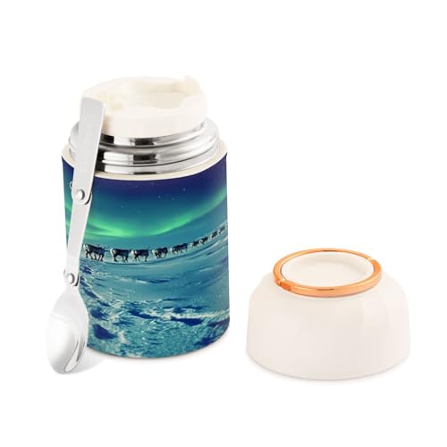 Ewusp Aurora - Termo de comida para adultos, 500 ml, acero inoxidable, doble pared, aislado al vacío, con cuchara plegable, sin BPA, recipiente para sopa a prueba de fugas