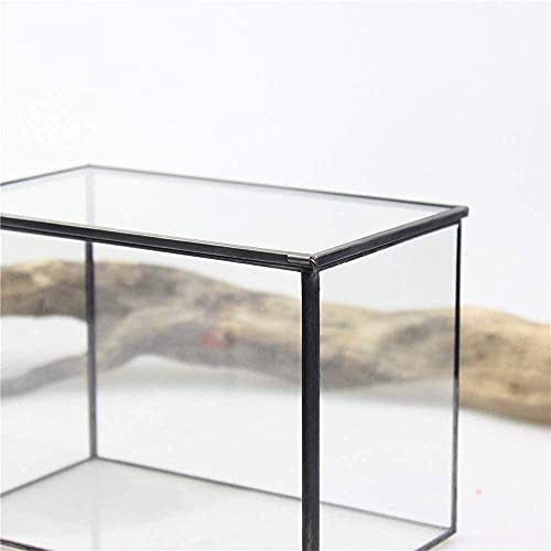 Small Plants Terrarium With Lid Black Rectangle Tabletop Glass Terrarium Geometric Clear Planter Little Moss Terrarium Box For Desktop Tabletop 6.7 X 3.9 X 4.7 Inches #TOP6