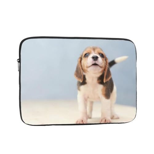 Ή r[O̎q 17 Inch PcP[X Pc[Jo ϏՌH m[gpc P[X rWlX 