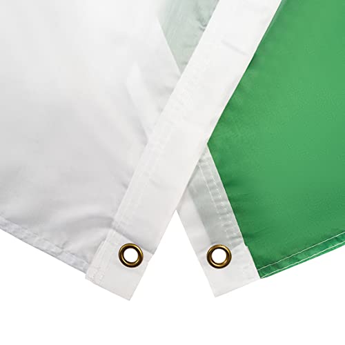 Storm&Lighthouse Welsh Flag Cymru Wales Flag 5ft x 3ft with Eyelets St Davids Day Red Dragon Six Nations UK