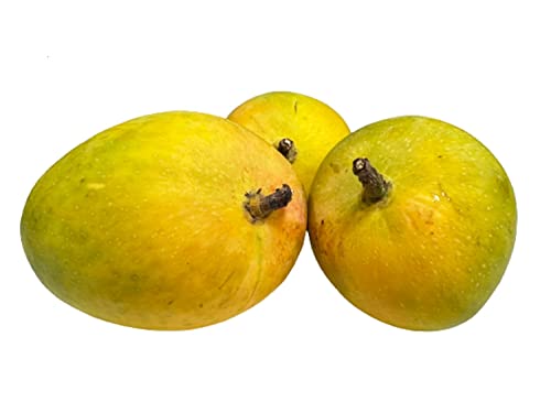 Image of Fresh Mango Alphonso South, 6 Pieces, (Approx.170g /Pc)