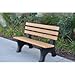 Jayhawk Plastics Frog Furnishings Recycled Plastic 4 ft. Comfort Park Avenue Bench, Cedar Bench/Black Frame