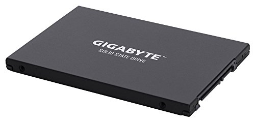 Build My PC, PC Builder, Gigabyte GP-GSTFS30256GTTD