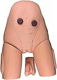 KNOBCO Male-Female Catheterization Model Internal and External Practice Traning Model PVC Manikin for Education and Teaching Research