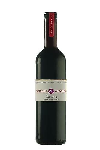 Novantaceppi Appassimento Puglia IGT Nero Di Troia Halbtrocken, 750 ml