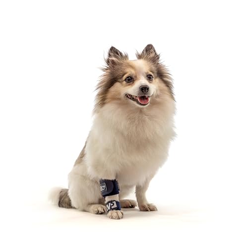 Image of Balto Splint Carpal /Tarsal Brace- Hyperextension Dog Brace with Aluminum Splint - Supports Fractures and Sprains - Front Leg Support (Extra Extra Small)