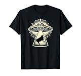 UFO Spaceship Abducting Abduction Zoo Animal by RJ