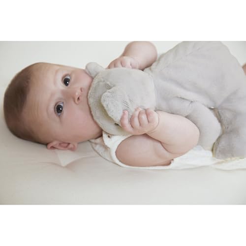 Peluche lestée koala Kaloo le cadeau de naissance premium idéal