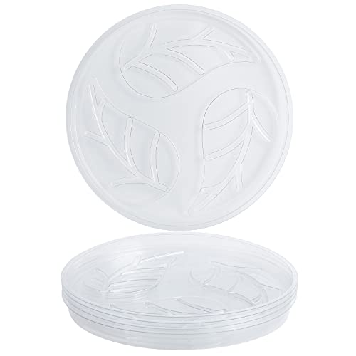 Confezione da 10 piattini in vinile trasparente