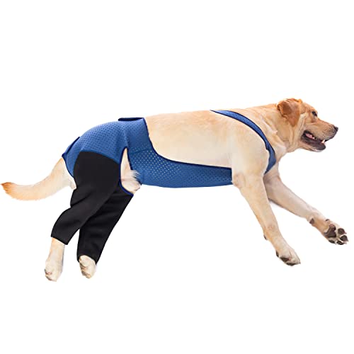 Coodeo Dog Recovery Suit, Cone Collar Alternative, Abrasion Resistant Dog Recovery Rear Sleeves, Washable 2.5Mm Thick And Waterproof, Pet Wounds Prevent Licking, Bite (L, Blue) #TOP1