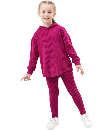 Image of LecGee Women Fall Casual Hoodie Set Long Sleeve Oversized Sweatshirt Elastic Waist Legging Pant 2 Piece Outfit Tracksuit