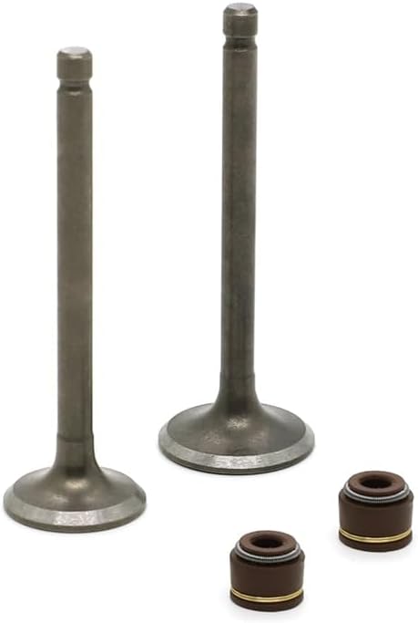 Motorcycle Engine Intake Valves Seals for Yamaha for Grizzly Raptor 80 YFM80 YFM 80 Badger 80 Raptor 80 YFM80W YFM100