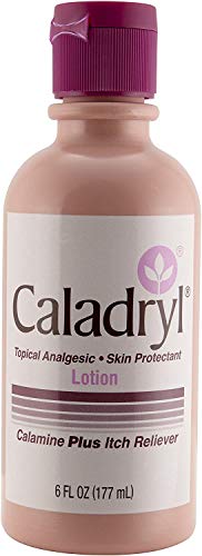 Caladryl Pink Calamine Skin Protectant Plus Itch Relief 6 Ounce Bottle (2 Packs(6.0 Ounce))