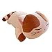 TOWSIX Soft Cat Animal Pillow Cute Big Hugging Pillow Stuffed Kitten Throw Pillow Baby Kids Sleeping Pillow Kitty Stuffed Toy Cuddle Stuffed Animal Gift for Adult Girlfriend 23.5" (Brown)