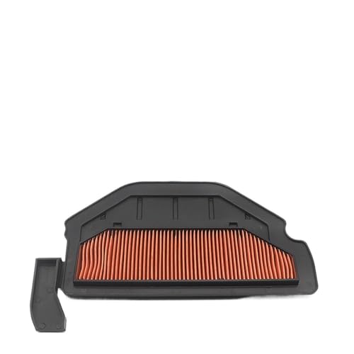 Filtre à air pour CBR929RR et CBR900RR FireBlade 2000-2001