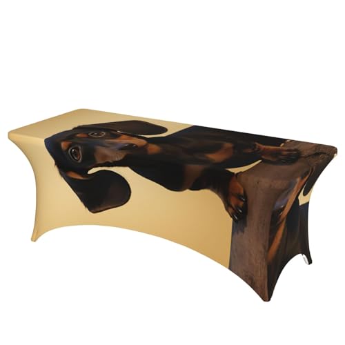 Nappe de table imperméable 1,8 m extensible en élasthanne pour nappe de patio - 2