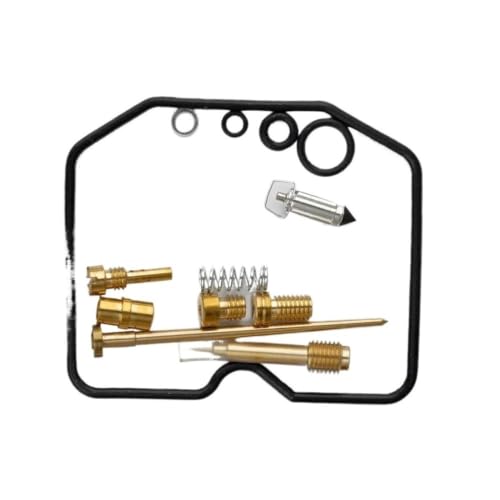 Kit carburateur KLF300 pour stopper les fuites d'essence