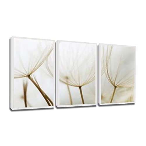 Jogo de Quadros Decorativos Triplo Molduras Mar&iacute;lia Dente de Le&atilde;o Branco