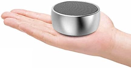GoldFlower Easy Mini Portable Bluetooth Speaker, Metal Body Bass Speaker,Rechargeable Wireless Boxing Speaker Support Micro SD Card Playing&3.5mm Audio Cable Connect(Silver)