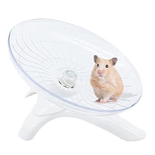 How to Ensure Your Hamster’s Safety While Using a Hamster Wheel