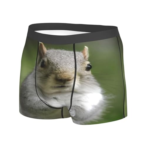 Squirrel Men'S Boxer Briefs, Soft Boxer Shorts, Breathable Microfiber Mens Trunks Underwear2