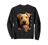 Photo Gallery lakeland terrier felpa Photo Gallery lakeland terrier felpa