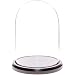 Plymor Brand 5.5" x 8" Glass Display Dome Cloche (Black Wood Base)