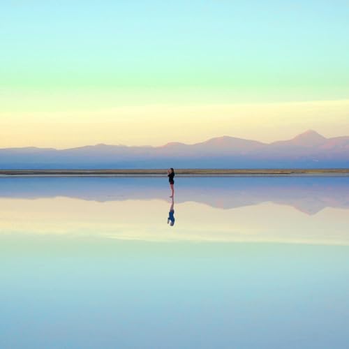 100NO 682: Everlab Reflections - How Conversations on Health, Responsibility, and Longevity Are Evolving