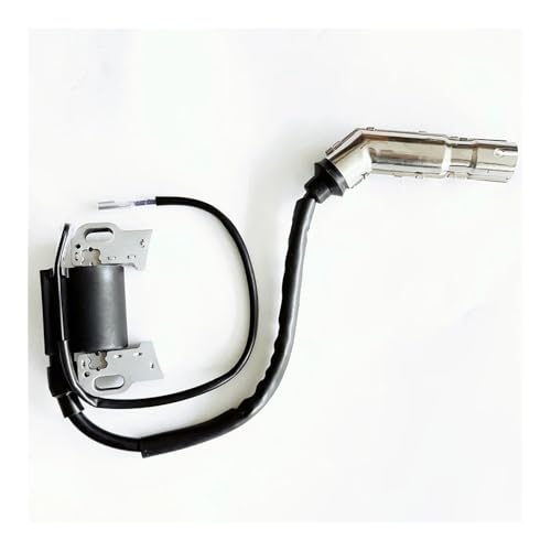 Bobina de encendido del motor para reparar generadores y motobombas de 6,5 HP