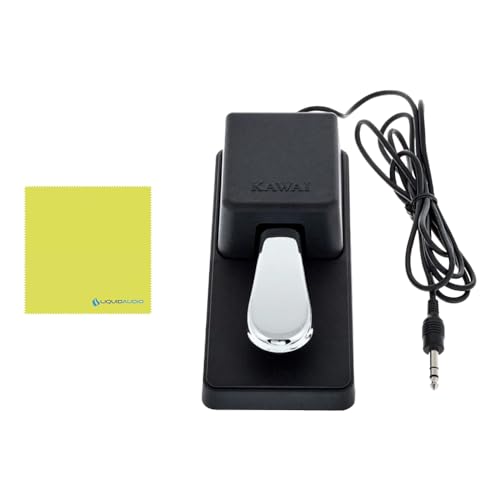 Image of Kawai ES920 88-Key Digital Piano, Satin Black Bundle with Kawai F-10H Damper Pedal and Liquid Audio Polishing Cloth