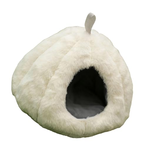 nlY~xbhbgBƃnX^[P[WANZT[􂦂~gƃETMtFbgnX^[P[WANZT[xbh