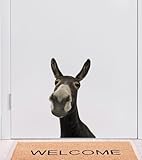 Cute Donkey Wall Decal - Peel & Stick Funny Donkey Head Sticker - Wall Decals for Kids, Friends, Kitchen, Bedroom, Playroom, Game Room, Farm, Barn, Showcase