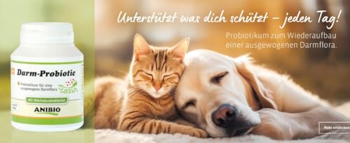Anibio Darm-Probiotic 120 Kapseln | Probiotikum für Hunde & Katzen – Darmflora Unterstützung mit Milchsäurebakterien – Ergänzungsfuttermittel für eine gesunde Verdauung & Starke Darmgesundheit