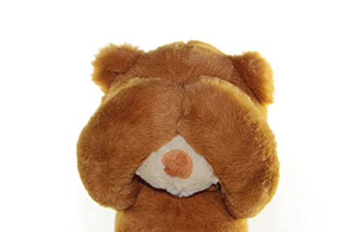 Cutest-Im-Sorry-Gift-for-Her-Him-The-Im-Sorry-Teddies-Embarrassed-Adorable-Super-Soft-Stuffed-Animal-Plush-Toy-Unique-Cute-Forgive-Me-Apology-Teddy-Bear-Gift-for-Kids-and-Adults-Brown - DumpADate.com