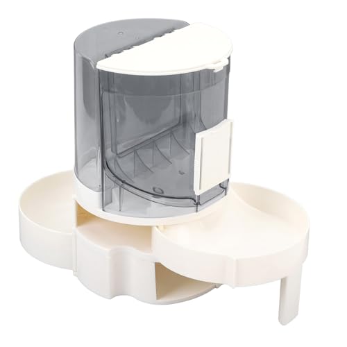 Mangeoire automatique pour chat au design ergonomique et distribution fluide