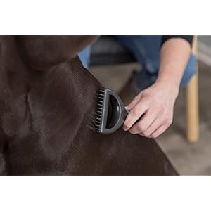 TRIXIE Pet Dematting Comb, for Cats and Dogs, Detangle and Thin, 3″ x 7″ (7x18cm)