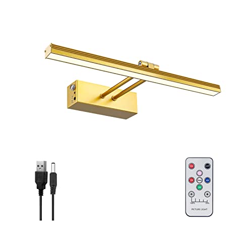 FUNCHDAY Picture Light,Battery Art Lights for Wall,Wireless Remote Painting Light with Timer and Dimmable,13”Metal Display Lighting for Artwork,Portrait,Gallery(Gold)