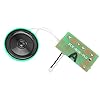Spraakmodule, eenvoudig te installeren Audio Sound Chip Lichtregeling Opnamemodule voor kinderdag DIY Muziekdoos… - Image 8