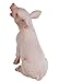 Safari Ltd Safari Farm – Sitting Piglet – Educational Hand Painted Figurine – Quality Construction from Safe and BPA Free Materials – For Ages 3 and Up
