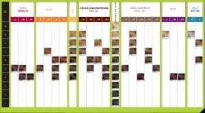 Loreal Accessori Colore - 100 gr