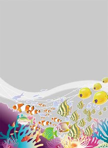 Amazon | キャラクタースリーブフルカラープロテクター 「魚群