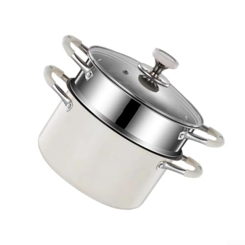 Hasaller Olla de sopa de titanio con estante de vapor de 2 niveles para estufa de inducción y gas, tapa de vidrio, revestimiento saludable, utensilios de cocina plateados