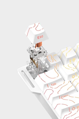 DAREU COOL60 0.01mm ラピッドトリガー対応 ゲーミングキーボード 有線8000hzポーリングレート 磁気スイッチ ホットスワップ SOCD対応 テンキーレス 60%英語配列 白/ホワイト【1年間メーカー保証】